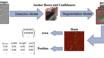 Accurate identification and measurement of the precipitate area by two-stage deep neural networks in novel chromium-based alloys featured image